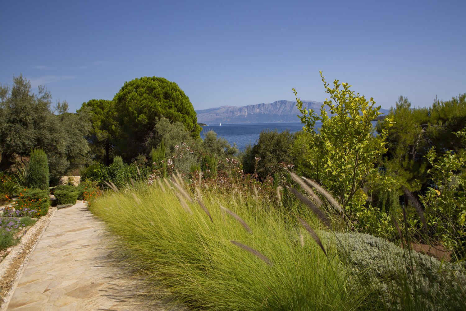 Path